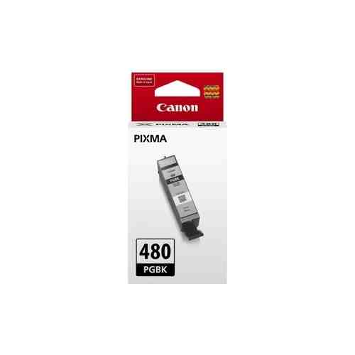 Картридж Canon PGI-480PGBK (пигментный черный)