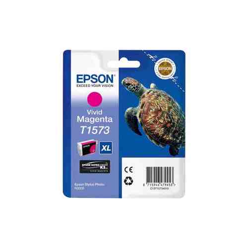 Картридж Epson Stylus Photo R3000 (C13T15734010)