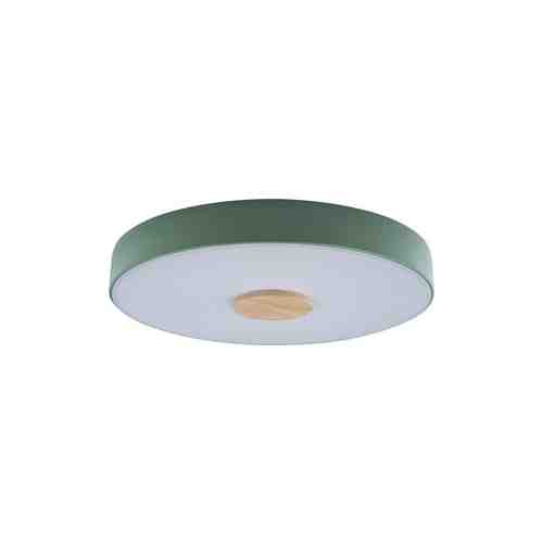 Светильник Loft IT Потолочный светодиодный Axel 10003/24 green