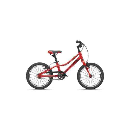 Велосипед Giant ARX 16 F/W (2021) Pure Red